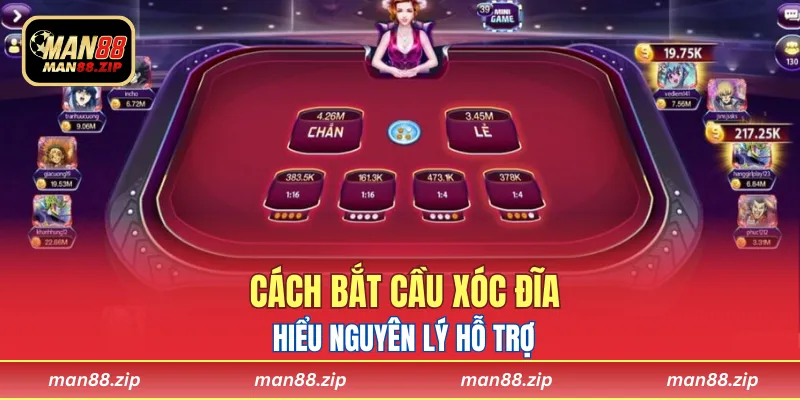 Hiểu nguyên lý hỗ trợ áp dụng cách bắt cầu xóc đĩa chuẩn xác