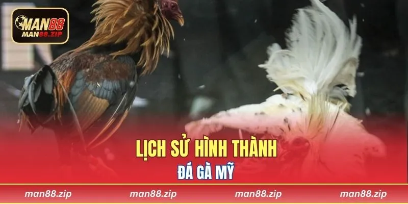Lịch sử hình thành đá gà Mỹ