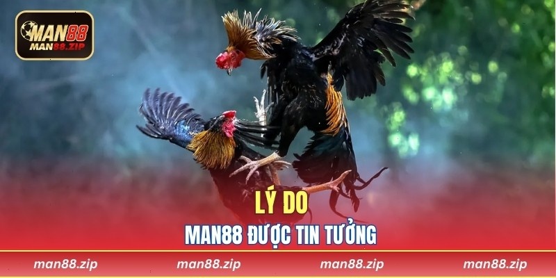 Lý do Man88 được người yêu đá gà tin tưởng