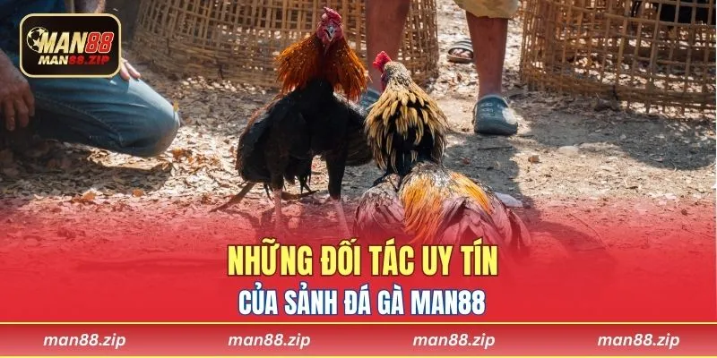 Những đối tác uy tin của sảnh đá gà Man88