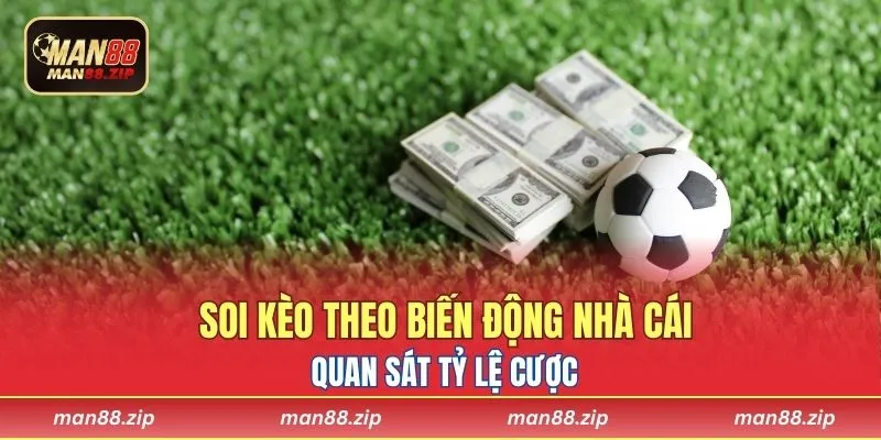 Phân tích dữ liệu bóng đá là nền móng để quyết định cược đúng