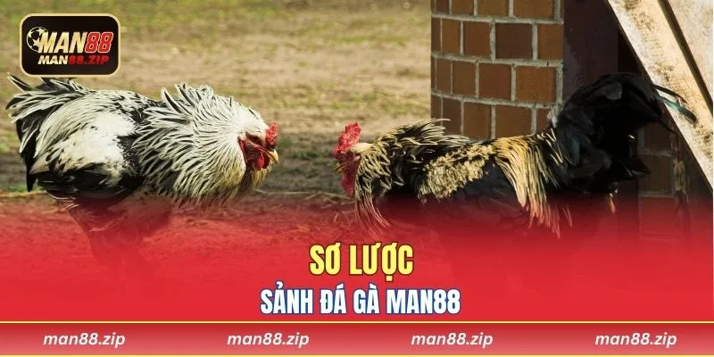 Sơ lược sảnh đá gà Man88