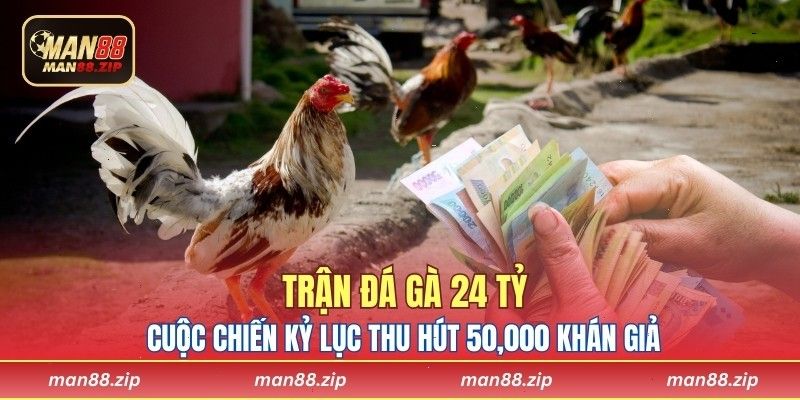 Trận Đá Gà 24 Tỷ - Cuộc Chiến Kỷ Lục Thu Hút 50,000 Khán Giả